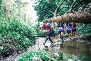 BIB: 
                            <button type="button" onclick="openModal(25459311)" class="btn btn-primary btn-sm float-right btn-popup" data-toggle="modal" data-target=".modal-high-quality">
                        <i class="fas fa-shopping-cart"></i> Add to Cart
                    </button>
                                            <button type="button" onclick="isThisMe(25459311, true)" class="btn btn-success btn-sm float-right btn-popup btn-isme hidden" data-toggle="tooltip" data-placement="bottom" title="นี่คือรูปของคุณใช่ไหม คลิกที่นี่เพื่อเอาเข้าอัลบั้ม">
                        <i class="fas fa-plus"></i> Add to album
                    </button>
                    <button type="button" onclick="isThisMe(25459311, false)" class="btn btn-warning btn-sm float-right btn-popup btn-isnotme hidden">
                        <i class="fas fa-ban"></i> Remove from album
                    </button>